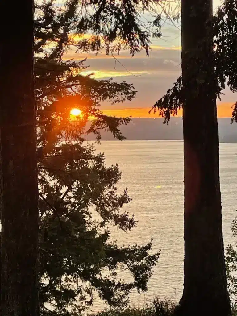 Sunrise over water with tree foliage visible on left side of photo