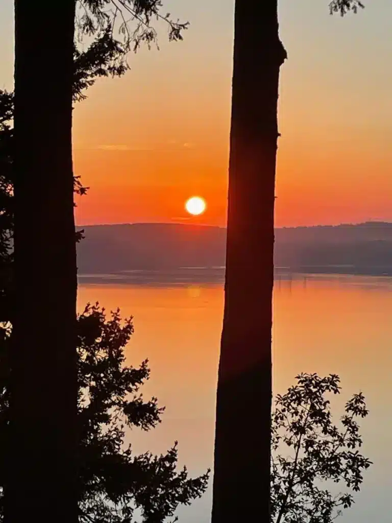 Sunrise over perfectly calm waters with red haze with two trees in foreground